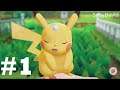 Hello my Fluffy Cutie partner Pikachu 😍😍 #1 : Pokemon - Let's Go Pikachu!