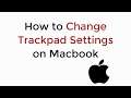 How to Change Trackpad on Mac UPDATED