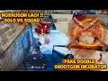 RUSUH LAGI !! SOLO VS SQUAD PAKE DOUBLE SHOOTGUN INCUBATOR | GARENA FREE FIRE