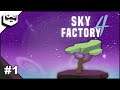 Sky Factory 4 Minecraft Romania Scai episodul 1