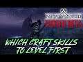 WHICH CRAFT SKILLS TO LEVEL FIRST (Crafting Combos) - Amazon Games Studio New World Closed Beta