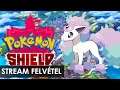 Én kicsi pokémonjaim #2 | Pokémon Shield | Stream felvétel