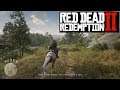 Red Dead Redemption II PC - Lindsey Wofford - Wanted Dead or Alive - Chapter 4: Saint Denis