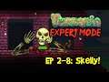 SKELLY! Terraria EXPERT MODE Let's Play, Ep 2-8 (1.3 PC Gameplay)