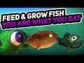 YOU ARE WHAT YOU EAT | New Feed and Grow Fish Gamemode