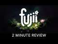 Fujii - 2 Minute Review