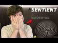 THE MOST DISTURBING PSYCHOLOGICAL HORROR GAME I'VE EVER PLAYED | SENTIENT