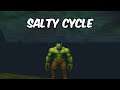The Salty Cycle - Enhancement Shaman PvP - WoW BFA 8.2