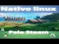 Valheim nativo linux rodando numa 1050ti mobile e um i7-7700hq.