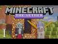 We Tried To Speedrun The Aether in Minecraft THE BEGINNING (#1)