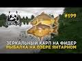 Зеркальный карп на Фидер. Рыбалка на озере Янтарном - Русская Рыбалка 4 #199