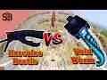 Hercules Beetle (Chaos Awakens) vs Void Worm (Alex's Mobs) | Minecraft Mob Battle