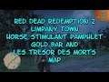 Red Dead Redemption 2 Limpany Town Horse Stimulant Pamphlet Gold Bar Les tresor des Morts Map