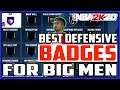 BEST DEFENSIVE BADGES FOR CENTERS NBA 2K20