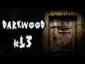 DARKWOOD #13 "21st Door"