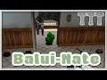 Die Balui-Nate | TTT | #119 | Balui | deutsch