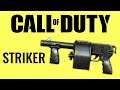 Striker - Call of Duty Evolution