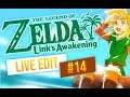 The Legend of Zelda: Link's Awakening | Nintendo Switch | Live Edit: Part 14