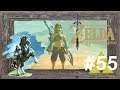 Zelda: Breath of the Wild #55 Link macht sich hübsch (Let's Play/deutsch)