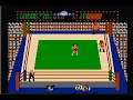 1986 Tag Team Wresting - Original Nintendo NES Hardware