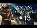 Assassin's Creed Origins / 13