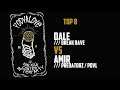 Dale (Break Rave) vs Amir (Predatorz/PDVL) | Top 8 PODLOVE #1