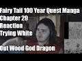 Fairy Tail 100 Year Quest Manga Chapter 29 Reaction Trying White Out Wood God Dragon