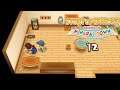 Let's Play Story of Seasons: Friends of Mineral Town 12: Expansion