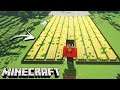 Minecraft: DUPLA SURVIVAL - A PLANTAÇÃO COMEÇOU CRESCER!!! (GIGANTE) #120