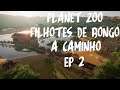 PLANET ZOO - EP 2 - DUAS BONGOS ESTÃO GRAVIDAS (MODO FRANQUIA) [PT-BR]