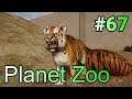実況 動物観察の刑に処す！「Planet Zoo」#67