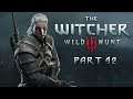 SingSing The Witcher 3: Wild Hunt - Part 12