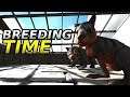 Starting to Breed! | Solo PVP RAFT Life | ARK Survival Evolved S4 EP13