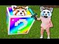 SUNT IN RAZBOI CU BEBE LAVI! Lucky Blocks Curcubeu