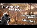 THEY KILLED THE DOG! | A Plague Tale: Innocence - Chapter 1