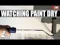 Watch paint dry live !   - We fix out sim bunker wall :)