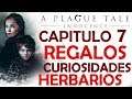 A Plague Tale - todos los REGALOS, CURIOSIDADES Y HERBARIOS - Capitulo 7