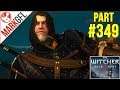 A Portrait of the Witcher - Let's Play The Witcher 3: Wild Hunt #349