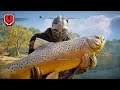 AC VALHALLA - Eivor Catches A Giant-Ass Fish (Big Brown Trout)
