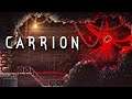 CARRION - 4K | RTX 2070 SUPER | RYZEN 7 3800X 4.5GHz
