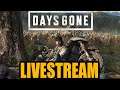 Days Gone PS5 Livestream Day 11