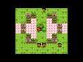 How to Catch a Farfetch'd || Pokémon Crystal Part 4