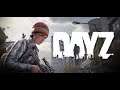 How to set up and manage multiple DayZ SA Servers responsibly