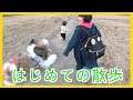 犬の赤ちゃんのお世話♡小学生初めてのしつけに挑戦!kids learn dog baby ロボットチャンネル 家族Vlog