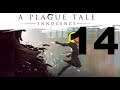 Let's Play Plague Tale Innocence w/ Token part 14-Rat Crime