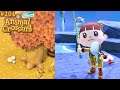 Nouveautés Novembre 🍄 Poisson-ballon Demoiselle Concombre de mer Animal Crossing New Horizons 201