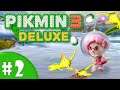 Pikmin 3 Deluxe | Story Mode Co-op | Mellow Yellows!