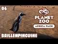PLANET ZOO • Africa Pack • 06: Brillenpinguine