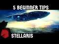 Stellaris 5 Beginner's Tips & Concepts