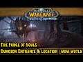 The Forge of Souls | Dungeon Entrance & Location | WoW WOTLK